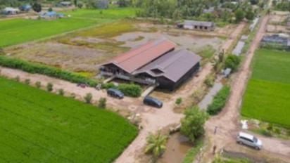 Petani Mulai Rasakan Manfaat Hilirisasi Food Estate Kalteng