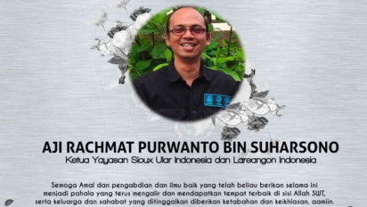 Digigit King Cobra Saat Lakukan Pelatihan, Pendiri Yayasan Sioux Ular Indonesia Meninggal Dunia