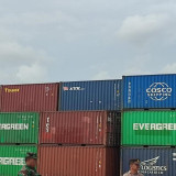 Arab Saudi Batasi Impor Unggas, RI Perketat Standar Kesehatan Hewan Demi Jaga Pasar Ekspor