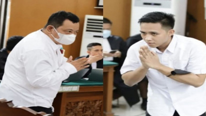Tak Hanya Kuat Ma'ruf, DPR Juga Usulkan Jaksa untuk Lakukan Banding soal Vonis Bharada E