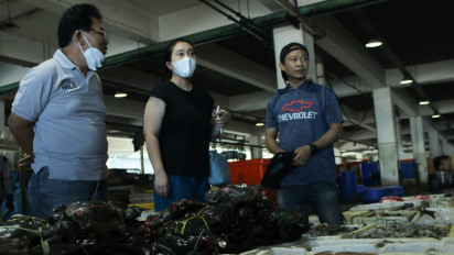 Terdampak Cuaca Ekstrem, Begini Harga Ikan di Pasar Moderen Muara Baru