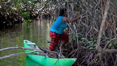 Festival Payau Puan Paloh, Ekspos Kehidupan Perempuan Pesisir