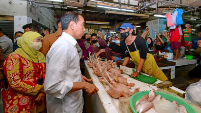 Presiden Jokowi Pastikan Pasokan Beras Bertambah dari Panen Raya