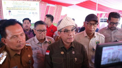 Genjot Ekspor Nasional, Wamentan Resmikan Kawasan Budidaya Nanas Prabumulih