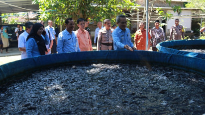 Budidaya Ikan Lele Padat Tebar Solusi Tangani Kemiskinan di Bantul