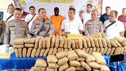 Polres Langkat Amankan 233 Kg Ganja Kering Siap Edar dan Pemiliknya
