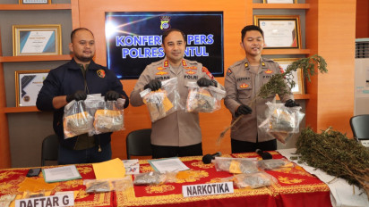 Pengembangan Kasus Peredaran Ganja, Polres Bantul Temukan 3 Hektar Ladang Ganja di Aceh