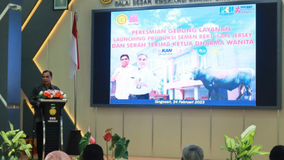 Dongkrak Kualitas Susu Sapi Perah, Kementan Lauching Sapi Jersey di BBIB Singosari