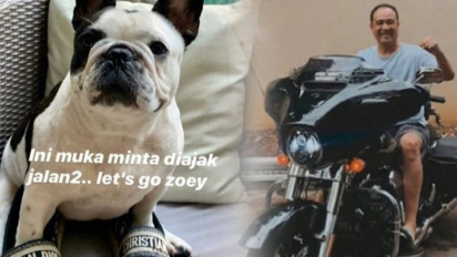 Papih dan Mamih Mario Dandy Gayanya bak Sultan, Doggy Peliharaan pun Dipakaian Barang Branded