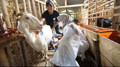Melirik Peternakan Kambing Etawa di Lereng Raung, Banyuwangi, Tren Wisata Edukasi
