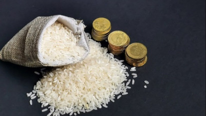 Pemerintah Berikan Diskon pph kepada Warga yang Setorkan Zakat Melalui Lembaga Resmi