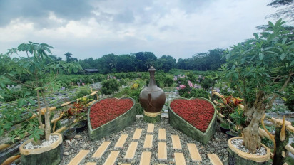 Beragrowisata dan Menikmati Nuansa Angkringan dengan Lauk Seafood di Jalur Pansela Kebumen