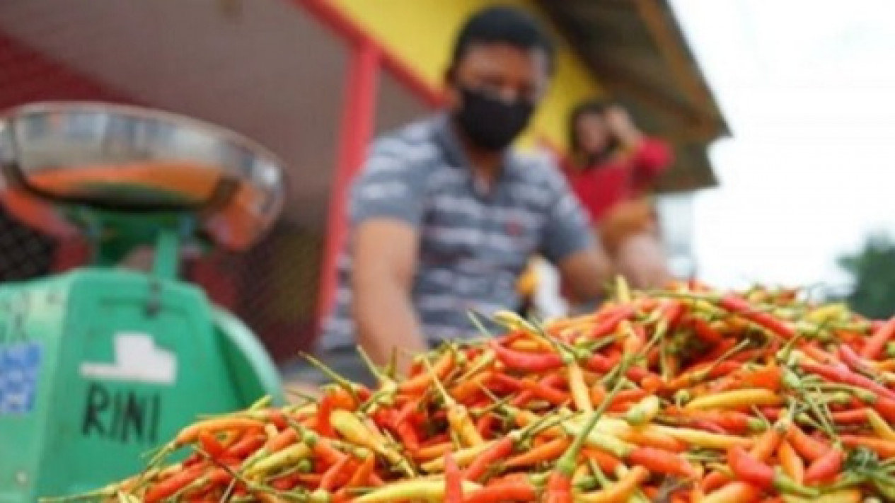 Inflasi Februari 2023 Capai 0,16 Persen
            - galeri foto