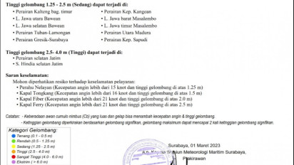 BMKG Juanda Warning Gelombang Tinggi di Beberapa Daerah di Jawa Timur, Cek Wilayahnya