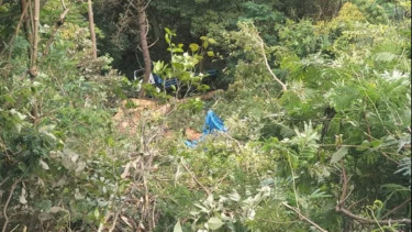 Sopir Mengantuk, Truk Pengangkut Kayu Pinus Terjun Bebas ke Jurang