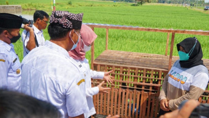 Siaga Flu Burung, Banyuwangi Siapkan 38.000 Dosis Vaksin untuk Peternak