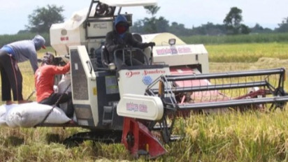 Bapanas Keliru Memperkirakan Produksi Beras 2023 akan Defisit, Ini Faktanya