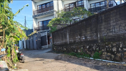 Heboh, Petisi Suara Kokok Ayam di Bali, Dispar akan Mediasi Bule dan Warga Pemilik Ayam