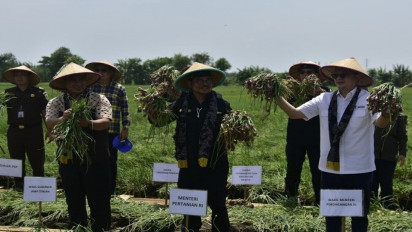 Lepas Pasokan Bawang Merah ke Ibukota Jakarta, Mentan SYL dan Wamendag Panen Raya di Brebes