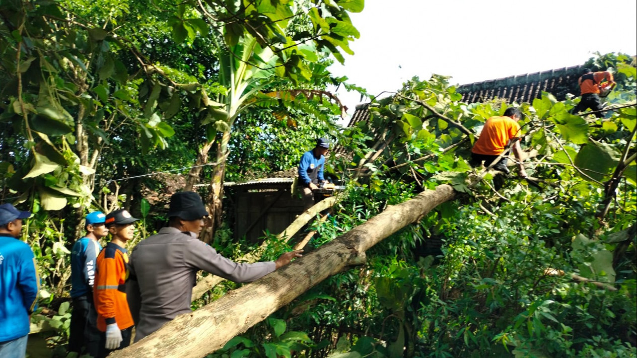 Puting Beliung, 257 Rumah Warga Rusak, Pemkab Madiun Fokuskan Perbaikan Infrastruktur
            - galeri foto