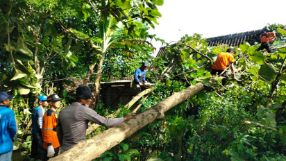 Puting Beliung, 257 Rumah Warga Rusak, Pemkab Madiun Fokuskan Perbaikan Infrastruktur