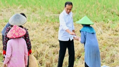 Presiden Jokowi Turun dari Mobil Demi Temui Petani yang Sedang Panen Padi di Soreang, Ternyata Ingin Lakukan Hal Ini