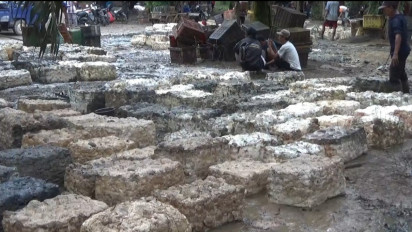 Dilanda Hujan Berdampak pada Penurunan Produksi Getah Karet Petani di Pali