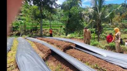 Tanah Retak dan Bergerak Sepanjang 1 Kilometer, Resahkan Warga di Jember