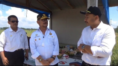 Panen Raya, Yasin Limpo : Tingginya Curah Hujan Pengaruhi Ketersediaan Gabah Nasional