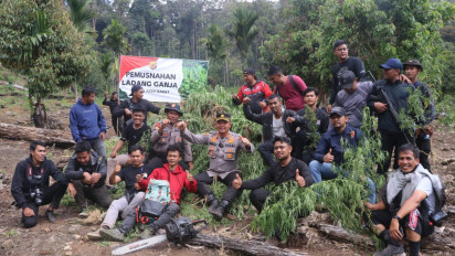 Polres Aceh Barat Buru Enam Orang Pemilik 32 Hektare Ladang Ganja di Kawasan Hutan Lindung Nagan Raya