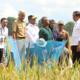 Usai Panen Bersama Presiden, Mentan SYL Canangkan Percepatan Tanam