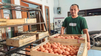 Harga Telur Ayam di Kabupaten Lumajang Tembus Rp29 Ribu per Kilogram, Ini Penyebabnya