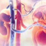 Pasien Gangguan Ginjal Tidak Disarankan Berobat Alternatif, Ini Alasannya