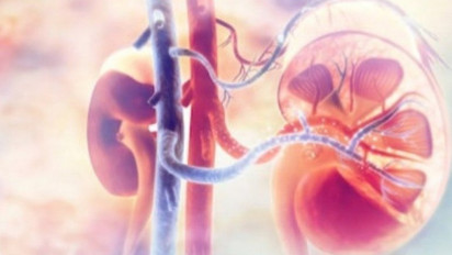 Pasien Gangguan Ginjal Tidak Disarankan Berobat Alternatif, Ini Alasannya