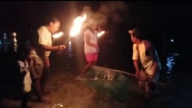 'Timba Laor', Tradisi Masyarakat Pesisir Ambon Mengambil Cacing Laut