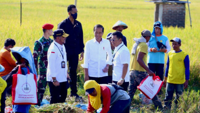 Panen Raya di Ngawi, Jokowi Minta Tiap Daerah Genjot Produksi Padi dan Stabilkan Harga