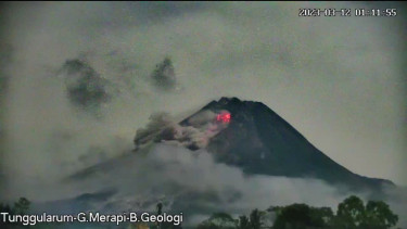 Gunung Merapi Kembali Erupsi pada Minggu Dini Hari, Dalam 24 Jam Luncurkan Awan Panas 41 Kali