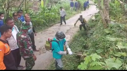 Populasi Tikus di Pacitan Meningkat, Komplikasi Penyakit Leptospirosis bisa Fatal