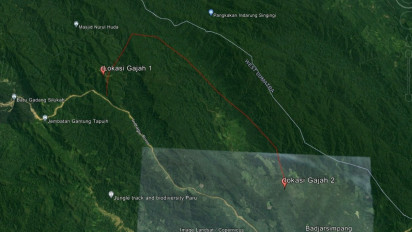 Masyarakat Diminta Tetap Waspada, 2 Gajah Masih Berkeliaran di Kabupaten Sijunjung Sumbar