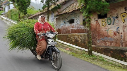 Tiga Desa di Klaten Diguyur Hujan Abu Erupsi Merapi, Aktivitas Warga Tetap Normal