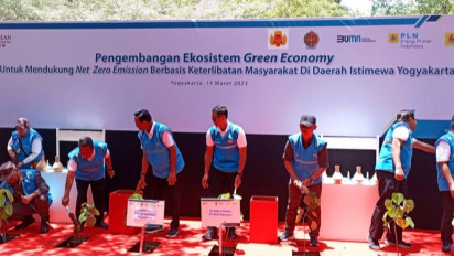 Gunungkidul Terpilih sebagai Pilot Project Pengembangan Ekosistem Green Economy, Nantinya Batu Bara akan Diganti Kayu