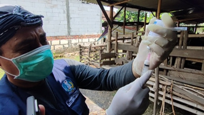 Dinas Peternakan Madiun Gencar Vaksinasi Hewan Ternak, Antisipasi Penyakit PMK, LSD dan Flu Burung