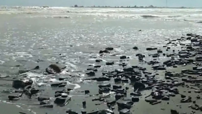 Walhi Aceh Desak Pemerintah Tegas Terhadap Limbah Batubara Cemari Pantai Meurebo