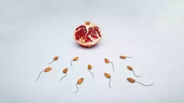 ilustrasi sperma, cara bikin sperma lincah