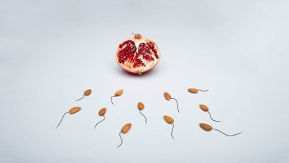 Gesit dan Ngebut! Apa Aja Sih yang Bikin Sperma Lincah? Paksu Harus Tahu, Bunda Dukung ya