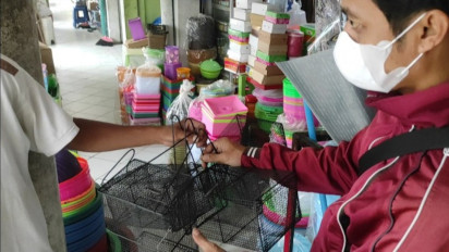 Kasus Leptospirosis, Berkah Pedagang Alat Tangkap Tikus, Barang semakin Langka