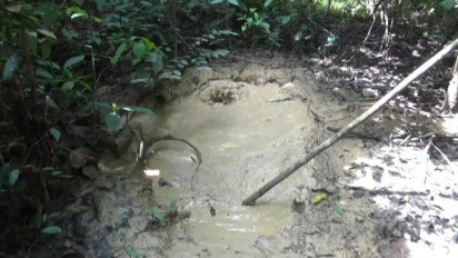 Air Berbau Gas Muncul di Lahan Perkebunan, Warga di Pali Khawatir