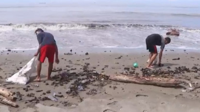 Pantai Meurebo Tercemar Limbah Batubara, Polisi Akan Periksa Sejumlah Saksi