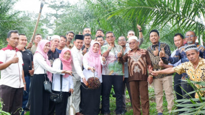 Panen Perdana Program Peremajaan Sawit Rakyat di Labuhanbatu, Begini Kerjasamanya