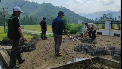 FPPA bersama Warga Gropyokan Tikus, Kendalikan Populasi dan Tekan Sebaran Leptospirosis di Pacitan